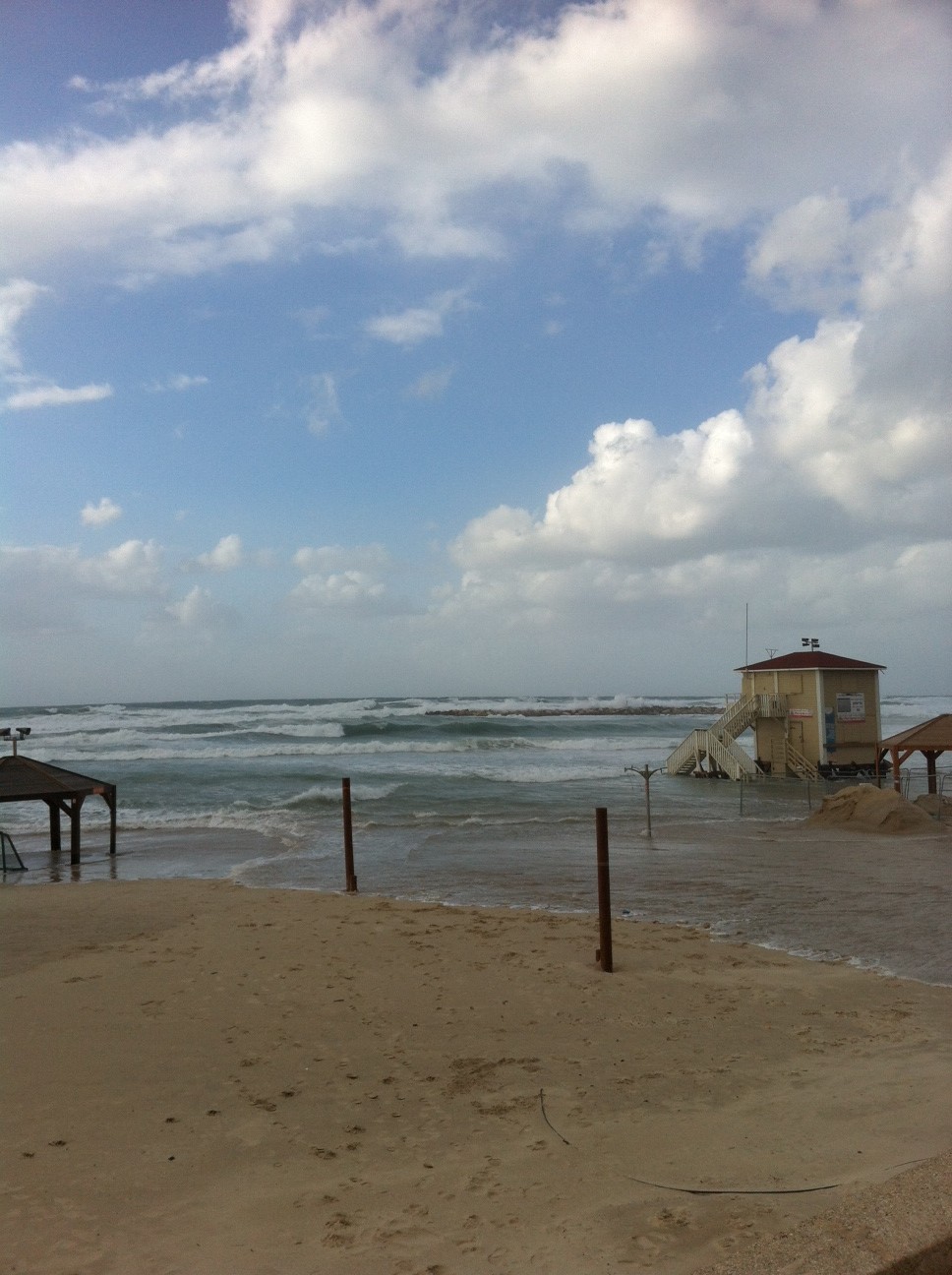 photo (19)