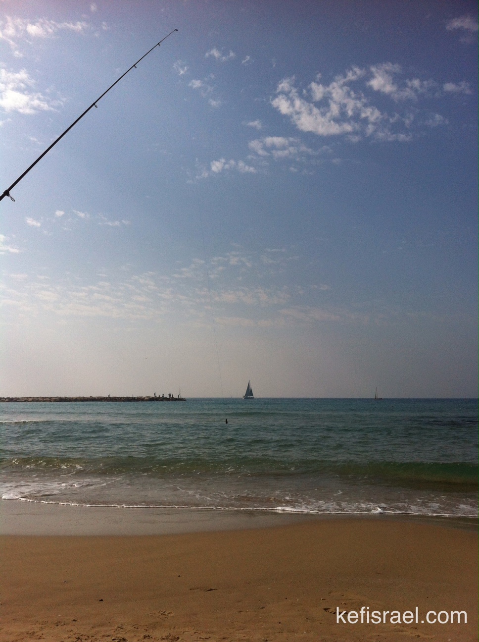 photo (29)